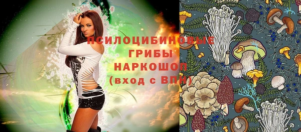 спиды Алексин