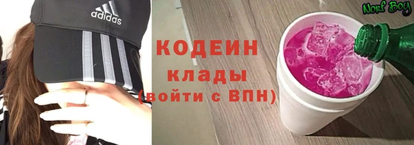 шишки Абаза
