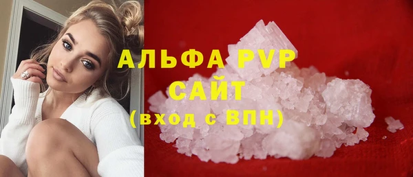 шишки Абаза