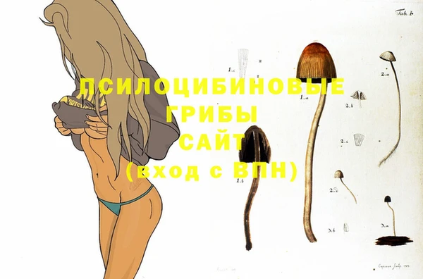 ешки Алексеевка