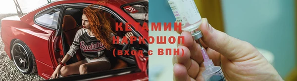 шишки Абаза