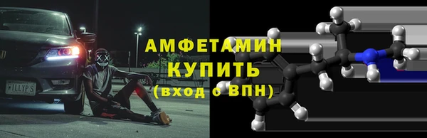 шишки Абаза