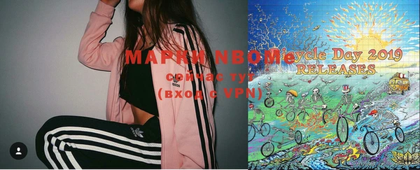 шишки Абаза
