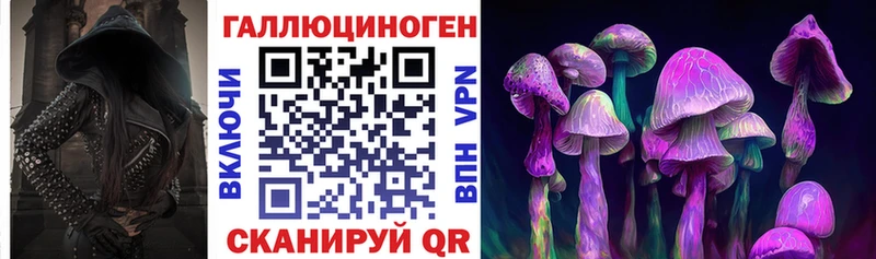 Псилоцибиновые грибы Cubensis цены наркотик Луга